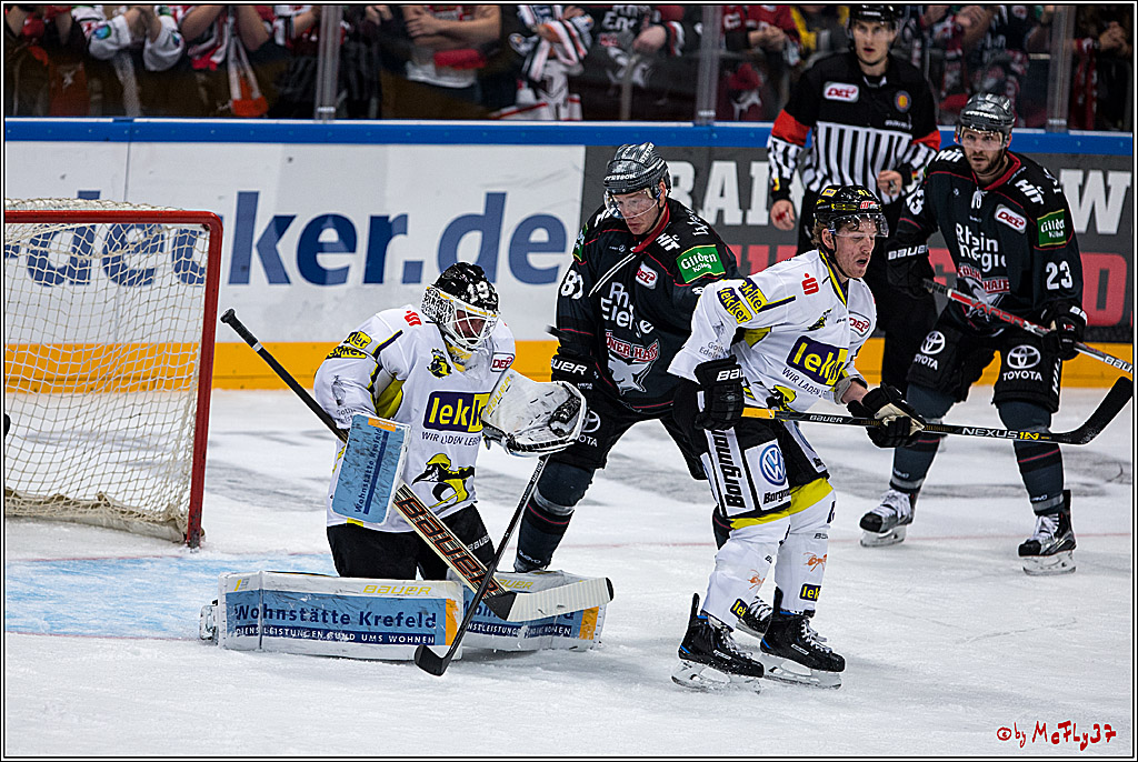 Koelner Haie - Krefeld Pinguine , 23.09.16(KW38)